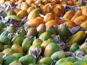 Papaya