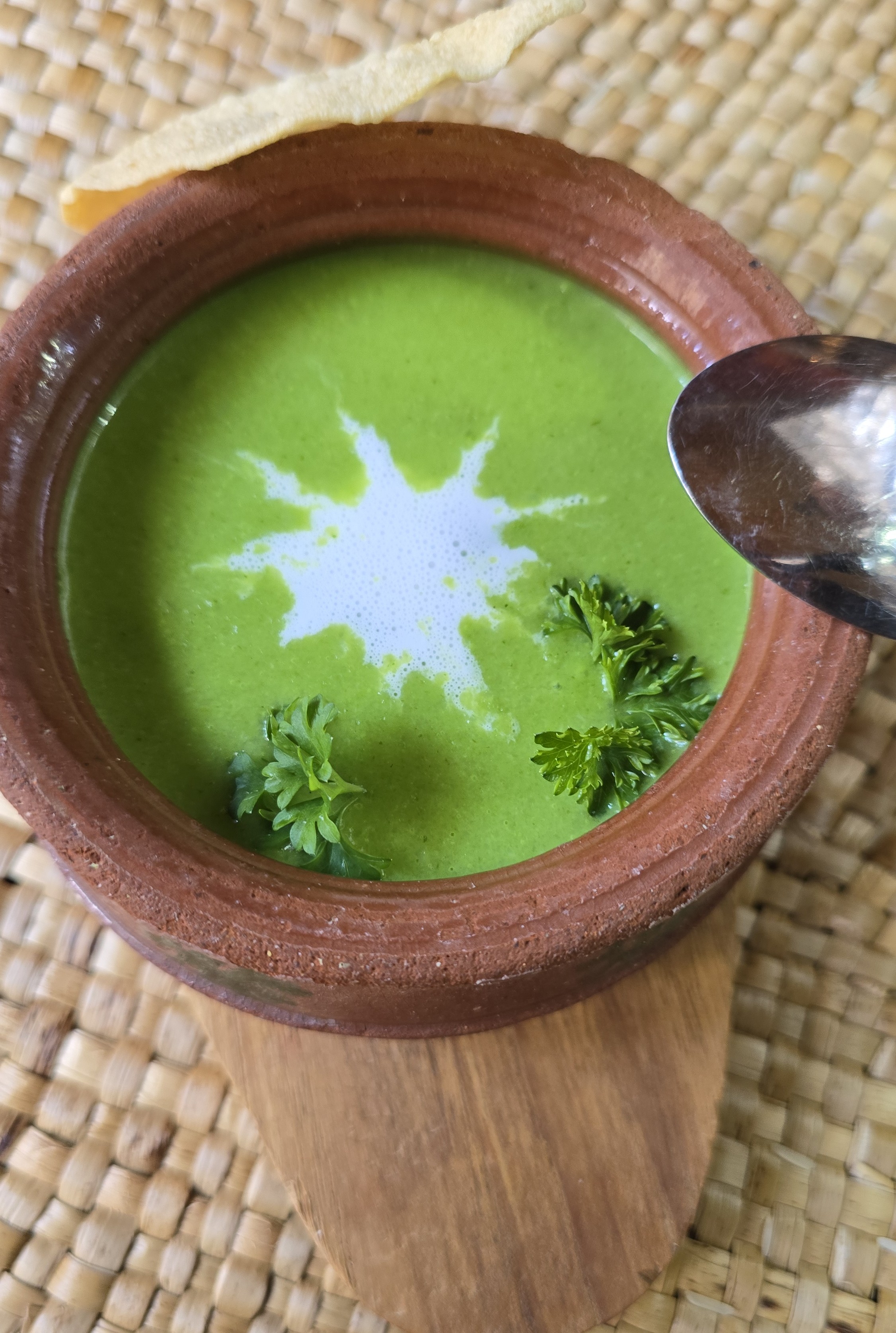 107 · Gotukolla-Soup (Sri Lankisch)